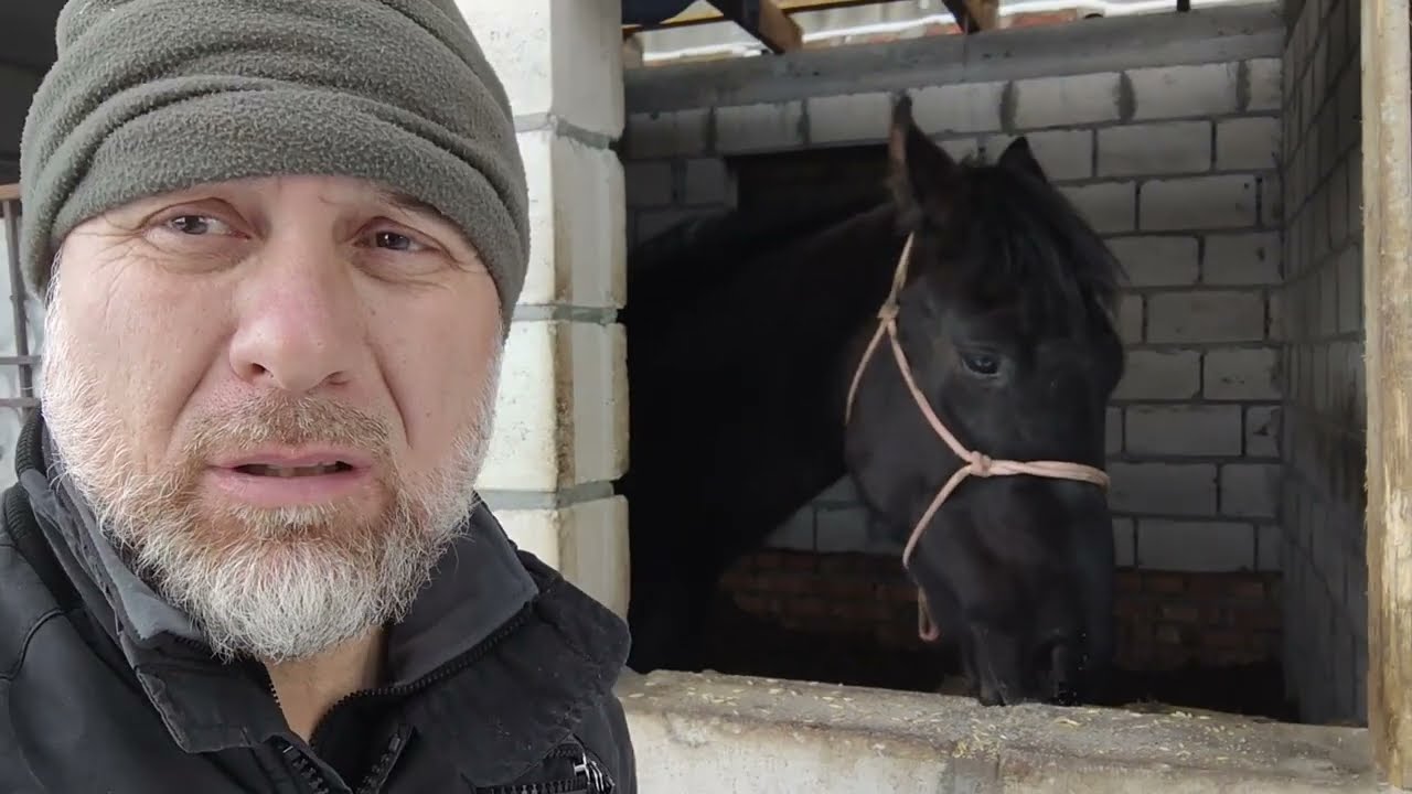 Как и чем кормить Лошадей Зимой.