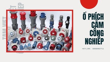 Ổ cắm công nghiệp gắn tường 3 pha 32A -16A -4 chấu (cố định)