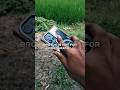 Samsung 10X Pro Videography Test ☠️ #samsung #shorts