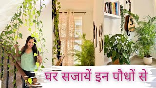 Top 5 Stylish Indoor Plants for Home decoration घर सजायें इन खूबसूरत पौधों से ​Home decoration Ideas