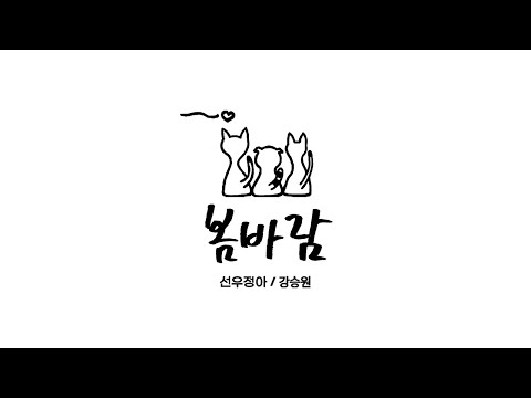 선우정아(Sunwoojunga) , 강승원 - 봄바람 / 가사 / With Lyrics