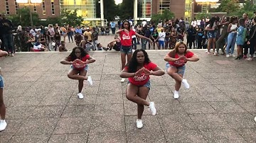 Alpha Nu | BGC Yard Show Fall 2018