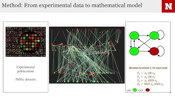 The in silico experiments on Antigen... - Sara Sadat Aghamiri - SysMod - Poster - ISMB/ECCB 2021