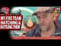 No Man's Sky Xeno Arena - Hatching My Fire Team &amp; Doing Daily Battles - NMS Live