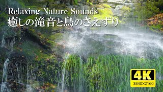 裏見の滝（和歌山県海南市下津）癒しの滝音と鳥のさえずり・観光シリーズ