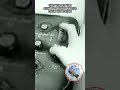 Details about launch system for the V-1 buzz bomb at @PimaAirSpaceMuseum #v1 #buzzbomb