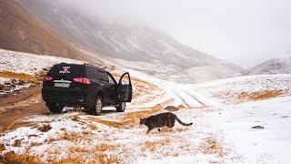 По Кавказу без асфальта. Едем с кошкой на Мухинское озеро.Суровый Кавказ грязь снег, золотая осень.
