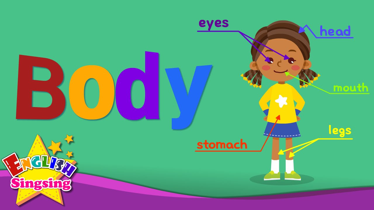 Kids vocabulary   Body   parts of the body   Learn English for kids   English educational video