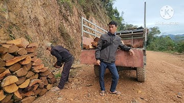 Tuaj thauj ib tug yawm yij cov taws os 11/12/ 2025