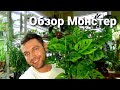 Обзор Монстер / Мечты цветанутого сбылись/