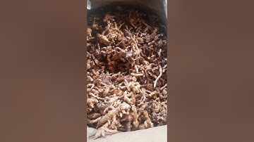 Giá bán củ nghệ bọ cạp tươi 0966 595 401