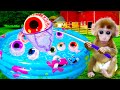 Smart Baby Monkey BonBon Fishing Eyeball Jelly candy with dad | Animal HT