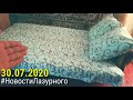 ЛАЗУРНОЕ. Видео отчёт за 30.07.2020. Домик "Типичное Лазурное". Обзор территории. Бюджетный отдых.