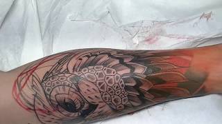 The owl - tattoo time lapse