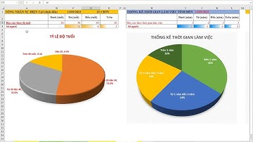 Kỹ thuật xây dựng báo cáo nhân sự HR Report _ Tổng quan bộ tài liệu