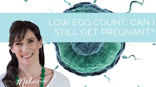 Low egg count: can I still get pregnant?