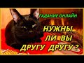 Нужны ли вы друг другу по мнению Высших Сил? Гадание Онлайн