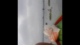 Naik Perahu Di Waduk Cirata Jangari
