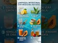 Los 6 Mejores Limpiadores Intestinales que Funcionan de Verdad #salud #remedios #casero