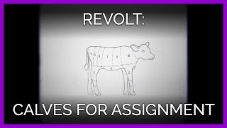 Transitioning Calves for Assignment | REVOLT!