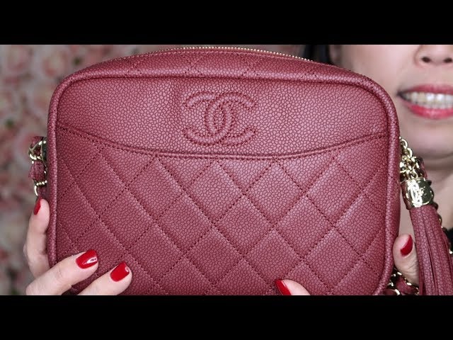 Chanel Whipstitch Camera Case Bag Quilted Iridescent Calfskin