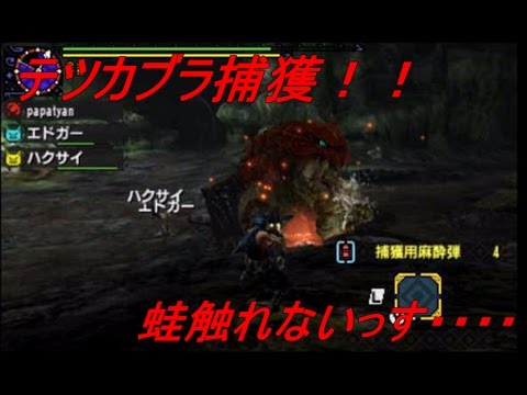 Mhx モンスターハンタークロス初心者の冒険 蛙捕獲するよ Youtube