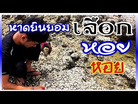 หาดยินยอม พัทยา ชื่อนี้ไปดูกันทำไมถึงยินยอมหว่า⁉️