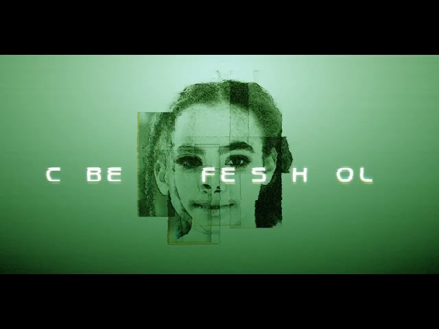 Cyber Safe Schools Cyber Safe Schools