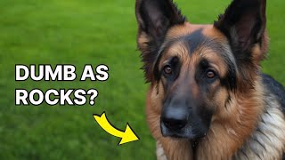 BATTLE For The SMARTEST Dog!