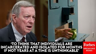 Dick Durbin Calls For Alternatives To Solitary Confinement And Asks Witnesses About Their Experience by Forbes Breaking News 292 views 2 hours ago 5 minutes, 38 seconds