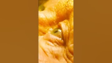 ODIN FORCE Kya hoti hai? 🤔😱 #shorts