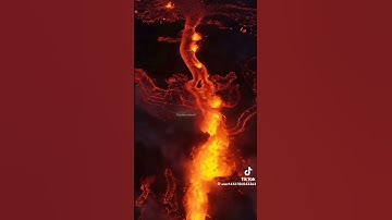 تلاوة مريحة لقلبك بصوت الشيخ ياسر الدوسري #ارح_قلبك #راحة_نفسية #محمد_اللحيدان