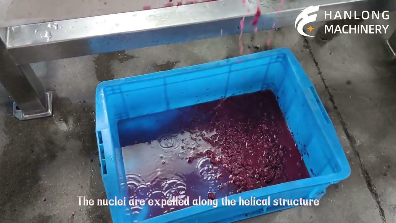 Bayberry Pitting Machine