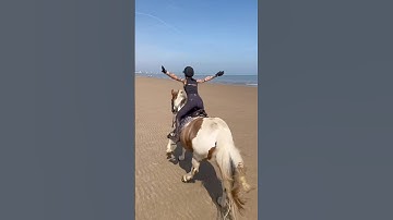 beach riding (and falling😭) #horse #horses #horseriding #equestrian #pony #horsefan #horsegirl