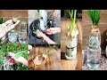 Grow onion & garlic at home easily | प्याज लहसुन घर पे उगाने का आसान तरीका
