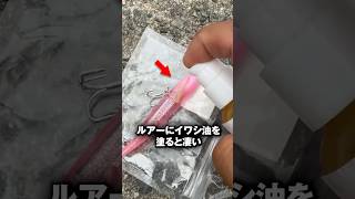 ルアーにイワシ油を塗ると凄かった件 #shorts #short