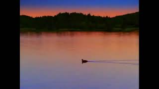 Barney Home Videolyrick Studios 1999