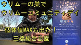 ポケモンgo 色違いヤミカラスゲットチャレンジ ーリサーチ虫報酬応用カイロス裏技 Youtube