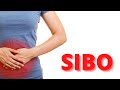 SIBO ¿Qué es?, ¿Cómo se diagnostica? y dieta para SIBO - FODMAP'S