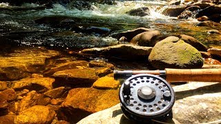 Fishing NATIVE Rainbow Trout in ULTRA CLEAR Creek