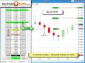 Emini online trading Price Action - daytradetowin