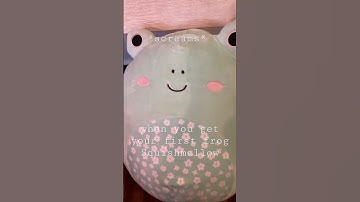 I got a frog Squishmallow! Her name is fritz!