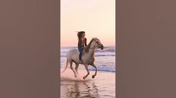 جورج وسوف كلام الناس انا حاسس انا شايف جورج وسوف ام كلثوم فيروز حاله 