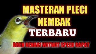 MASTERAN PLECI NEMBAK TERBARU BREN KENARI WITWIT SPEED RAPAT