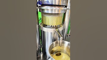 Mustard Seed Oil Press Machine|Canola Seed Oil Press Machine|Rapeseed Oil Press Machine #oilpress