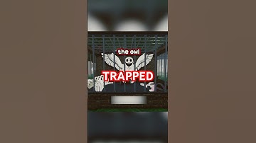 TRAPPING the OWL in 99 Nights in the Forest!