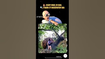 🤯I Found GIANT SNAIL 🐌 📍GEO at the END☝#googleearth #googlestreetview  #googlemap #shorts