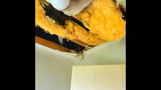 Enaghan, Walsh Island, Co. Offaly