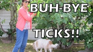 Natural Solutions to get rid of Ticks + a brief Duffy sighting