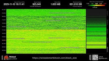 Bitcoin’s Blockchain History (Genesis - 923,040)